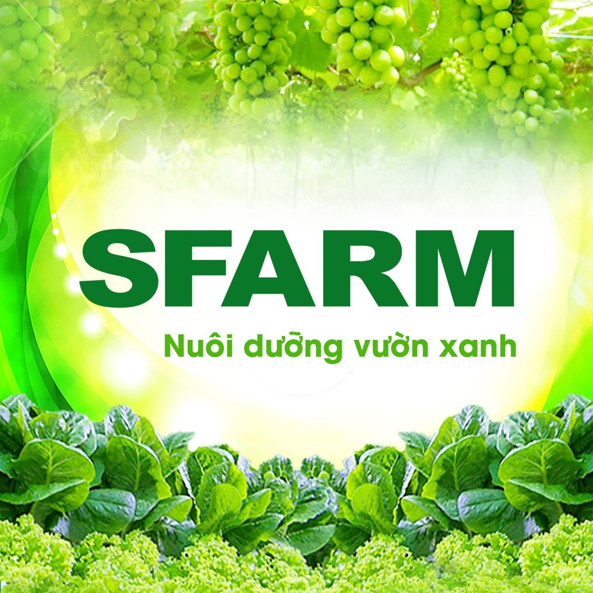 Phân gà hữu cơ Nhật AKI